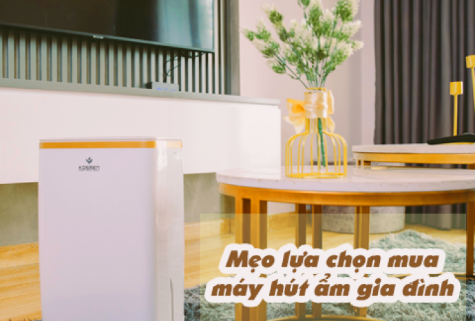 [Bật bí] Mẹo lựa chọn mua máy hút ẩm gia đình
